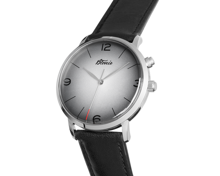 ZEGAREK BŁONIE Elektro Amper