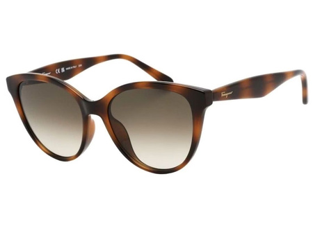 Oryginalne Damskie Okulary Salvatore Ferragamo SF1073S/240
