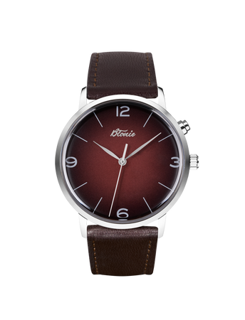 ZEGAREK BŁONIE Elektro Herc