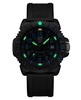 ZEGAREK MĘSKI LUMINOX Sea Lion Carbonox X2.2053