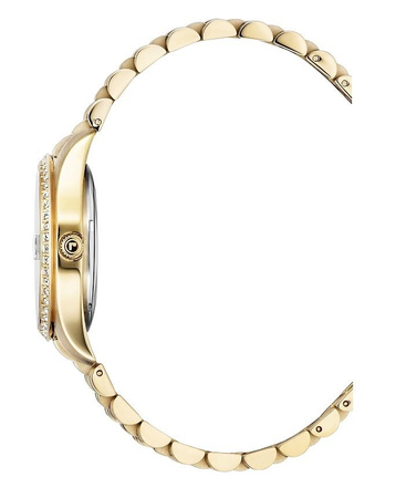 ZEGAREK ROAMER POSITANO 853858 48 39 20