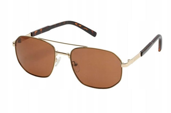 Oryginalne Męskie okulary GUESS GF0250/32E